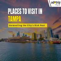 20 Best Tourist Places To Visit In Tampa